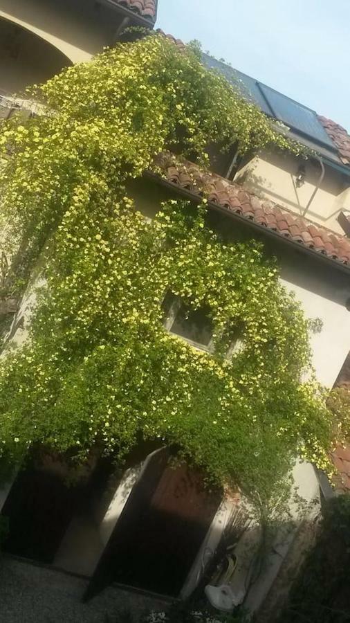 Lunesco Alloggio Divino, Chambre D'Amis Lu (Piedmont) ภายนอก รูปภาพ